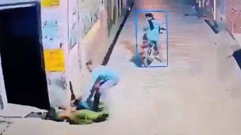 Uttar Pradesh: Woman Fights Off Snatchers for 23 Minutes in Etah, 2 Arrested After Police Encounter (Watch Video)