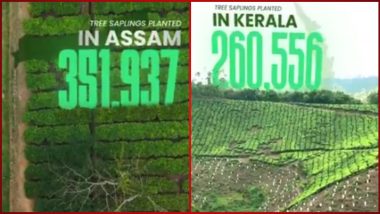 Revealed! IPL Green Dot Ball Tree Plantation Locations