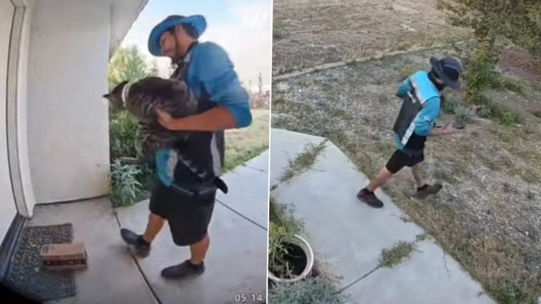 Amazon Driver Caught on Camera Walking Away With Family's Cat 'Junie' After Delivery; Video Goes Viral