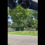 Bees Swarm White House Lawn, Briefly Disrupting Press Area (Watch Video)