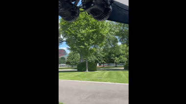 Bees Swarm White House Lawn, Briefly Disrupting Press Area (Watch Video)