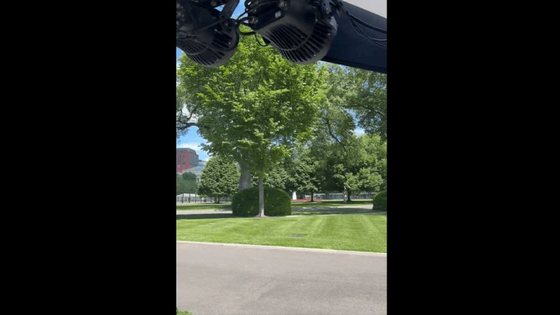 Bees Swarm White House Lawn, Briefly Disrupting Press Area (Watch Video)