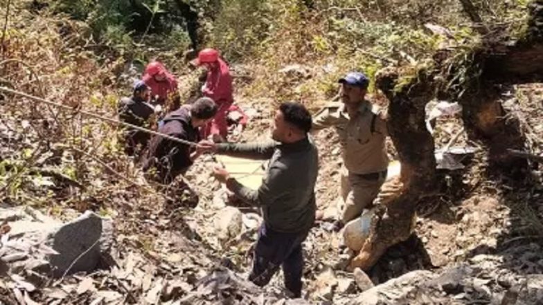Uttarakhand Road Accident: 3 Family Members Killed As Vehicle Plunges Into Deep Gorge in Chamoli