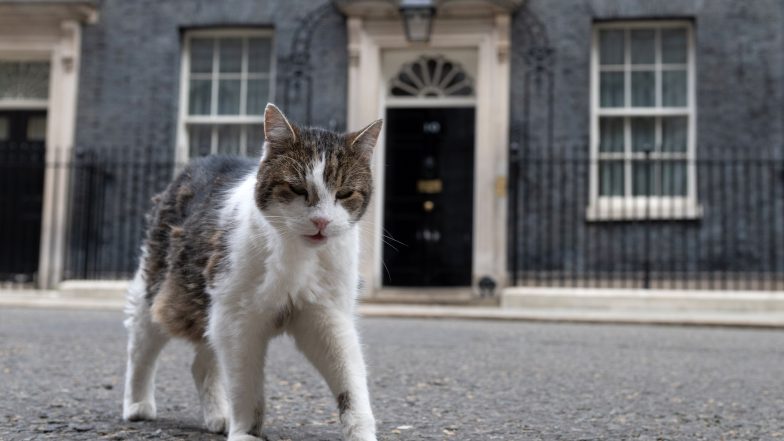 UK Prime Minister Clings to Power After Cabinet Minister Quits, Says He Lost Confidence in Boss