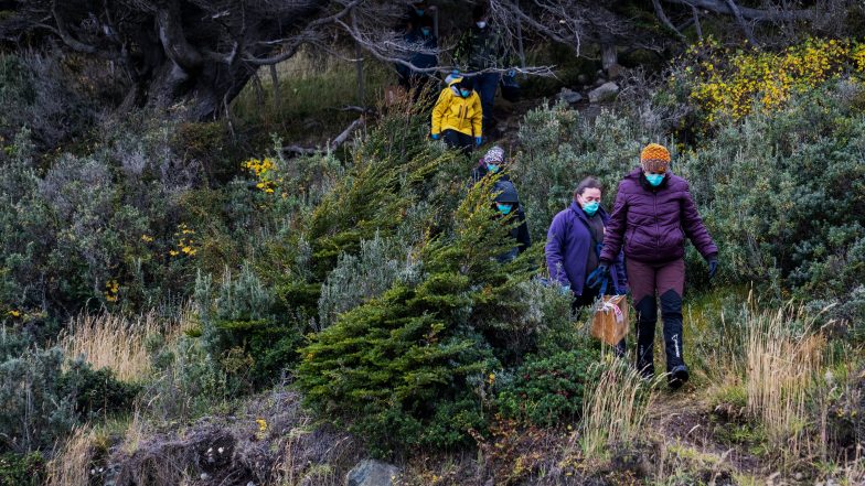 Argentine Investigators Trap Rodents in Ushuaia to Trace Hantavirus Outbreak
