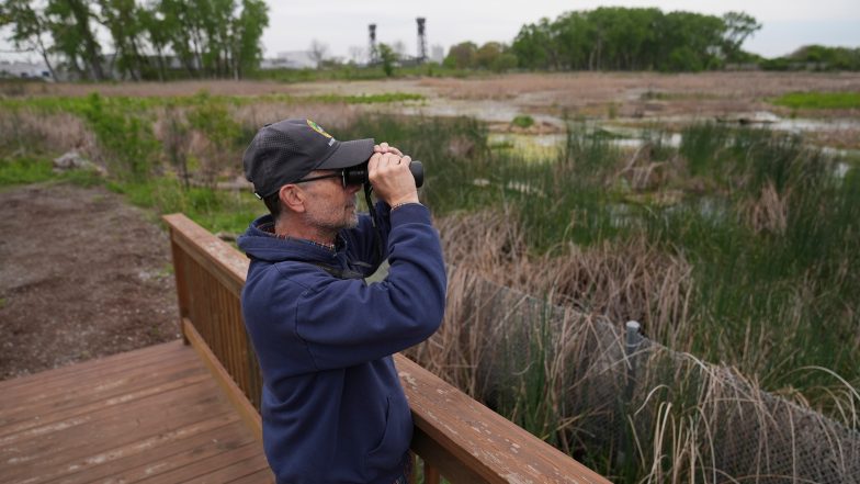 Birders Spot Bald Eagle Hatchlings in a Park on Chicago's Southeast Side
