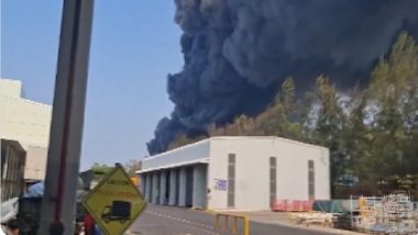 Hyundai Factory Fire: Massive Blaze Breaks Out at Sriperumbudur Manufacturing Plant, Firefighting Efforts Underway (Watch Video)