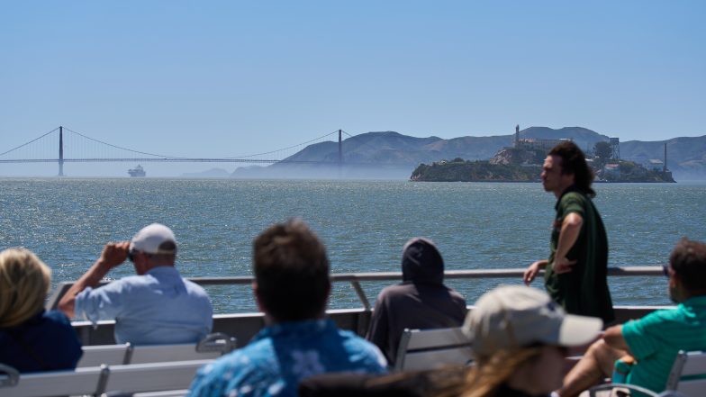 California Races to Protect Whales as Deaths Spike