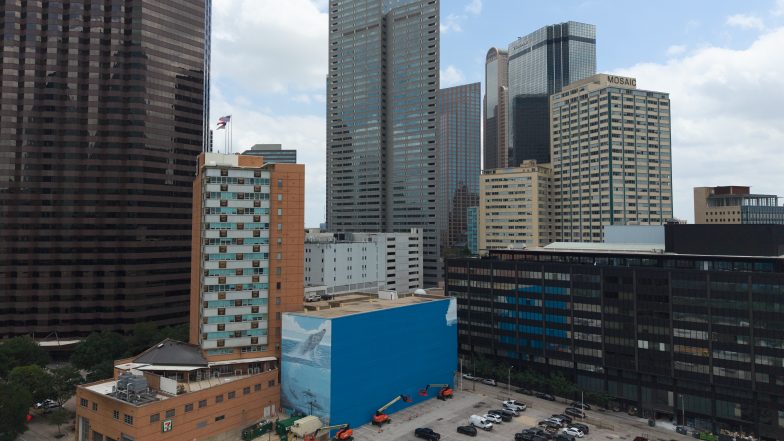 Beloved Dallas Whale Mural Disappears Amid World Cup Preparations