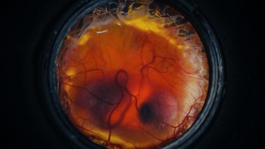 Colossal Biosciences Says It Has Hatched Chicks in an Artificial Environment