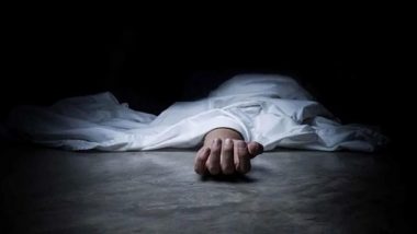 Greater Noida: 4-Year-Old Boy Dies After Falling From 15th Floor of High-Rise Building in Omicron-1 Area
