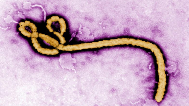 Ebola Death Toll Rises: WHO Reports 132 Suspected Deaths and 528 Cases in DR Congo and Uganda