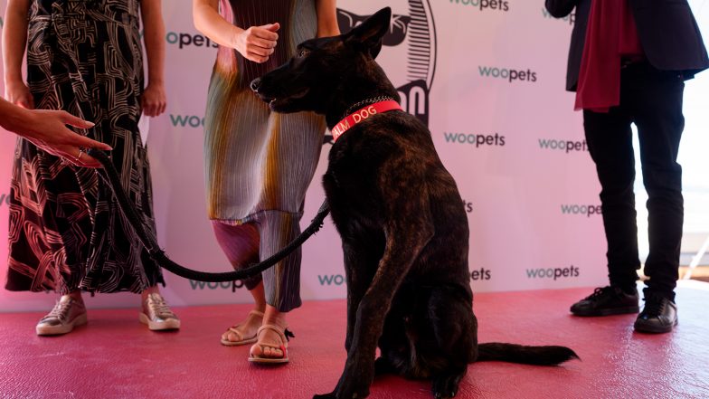 Cannes' Palm Dog Winner is 'La Perra'