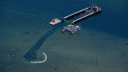 Rescued Humpback Whale is Found Dead off Denmark
