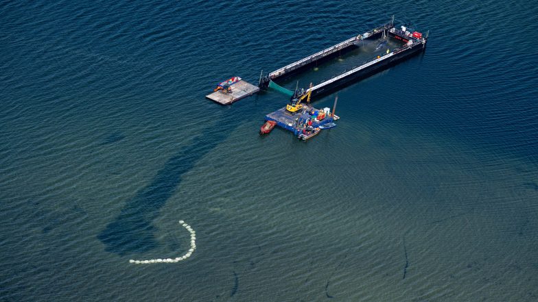 Rescued Humpback Whale is Found Dead off Denmark