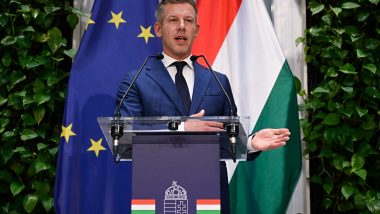Hungary's Prime Minister Magyar is Visiting Ally Poland