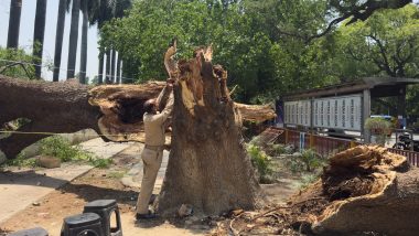 Storms Kill at Least 96 in India's Uttar Pradesh State