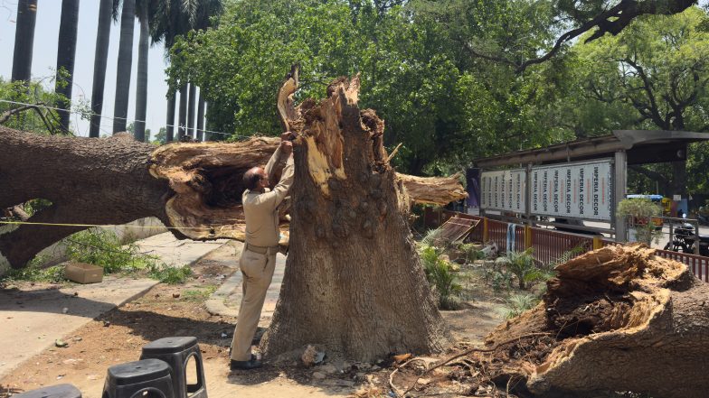 Storms Kill at Least 96 in India's Uttar Pradesh State