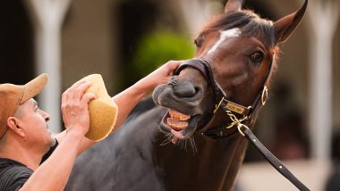 Preakness Could Soon Move 3 Weeks After Kentucky Derby. It Might Not Be Enough