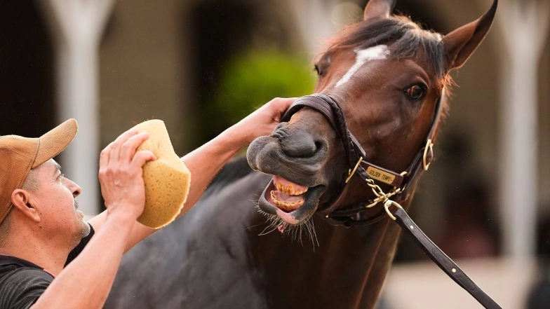Preakness Could Soon Move 3 Weeks After Kentucky Derby. It Might Not Be Enough