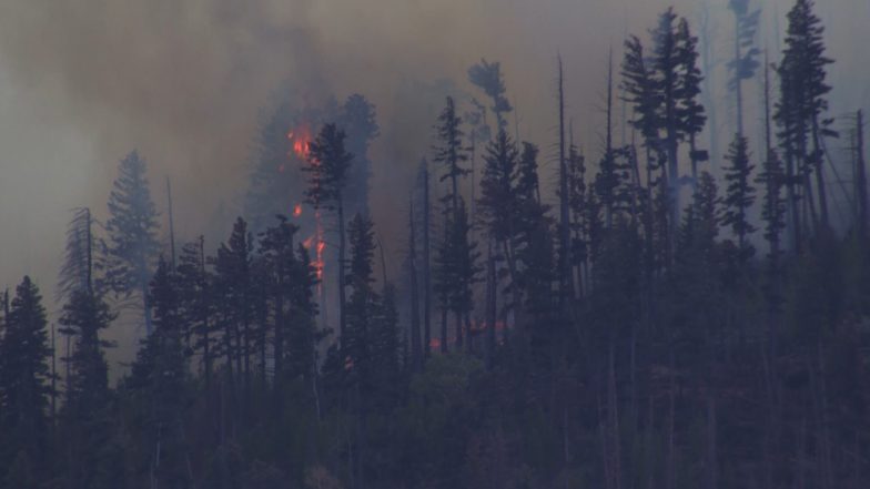 New Mexico Wildfire Sparked by Medical Plane Crash Spurs Evacuations