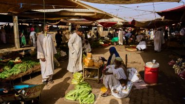 Crisis in Sudan: 19.5 Million Struggle with Food Insecurity