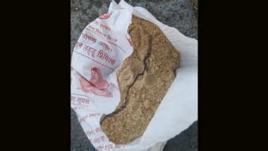 Madhya Pradesh Viral Video: Dead Baby Snake Found in Anganwadi Food Packet Given to Pregnant Woman in Pandhurna