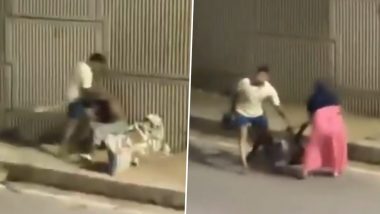 Kanpur: BSF Personnel Sarvesh Gupta Assaults 65-Year-Old Father Over Land Transfer (Watch Video)