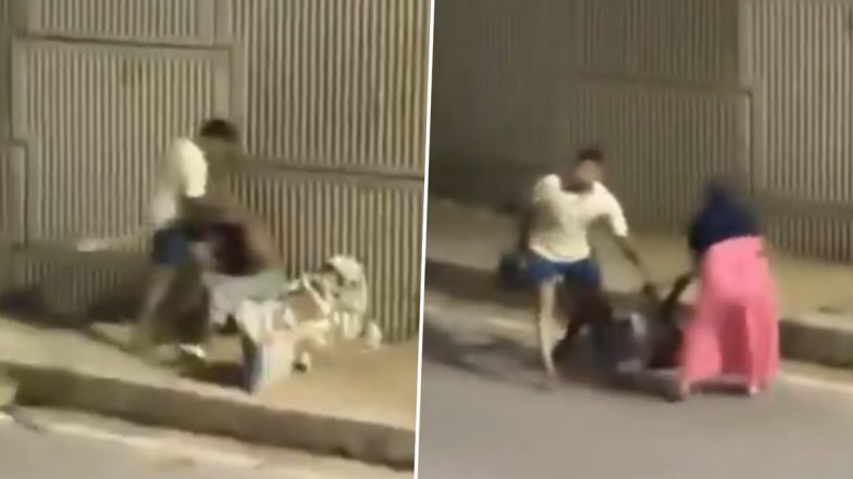 Kanpur: BSF Personnel Sarvesh Gupta Assaults 65-Year-Old Father Over Land Transfer (Watch Video)