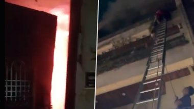 Ghaziabad Fire: 3 Dogs Killed As Massive Blaze Erupts in Multi-Story Residential Apartment in Avantika Colony (Watch Videos)