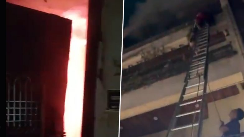 Ghaziabad Fire: 3 Dogs Killed As Massive Blaze Erupts in Multi-Story Residential Apartment in Avantika Colony (Watch Videos)