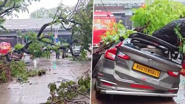 Mumbai Rain Havoc: Tree Crashes Onto Car in Dadar, Severe Waterlogging Reported Across City (Watch Videos)