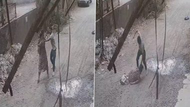 Palghar Shocker: Woman Government Staff Hacked 8 Times on Neck, Back by Court Peon; Disturbing Video Surfaces