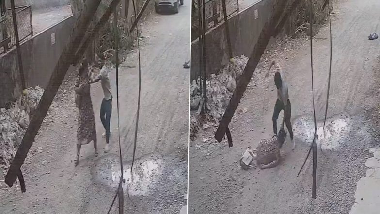 Palghar Shocker: Woman Government Staff Hacked 8 Times on Neck, Back by Court Peon; Disturbing Video Surfaces