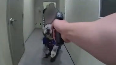 LAPD Dog Shooting Video Goes Viral: Officer Says &lsquo;I Ain&rsquo;t Getting Bit by That, Bro&rsquo; Before Fatally Shooting Pet After 911 Call