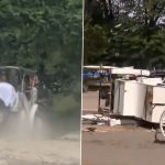 Indian Tourist Romanch Mahajan Dies After Startled Horse Bolts, Overturns Carriage in New York (Watch Video)