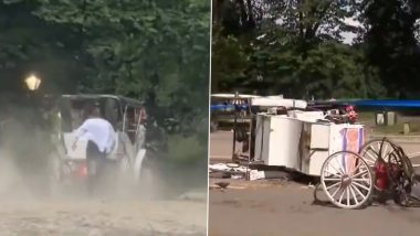 Indian Tourist Romanch Mahajan Dies After Startled Horse Bolts, Overturns Carriage in New York (Watch Video)