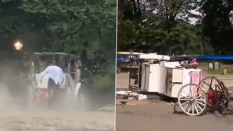 Indian Tourist Romanch Mahajan Dies After Startled Horse Bolts, Overturns Carriage in New York (Watch Video)