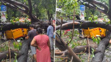 Chembur Tree Collapse: Student Dead, Several Injured After Tree Falls on School Bus (See Pics)