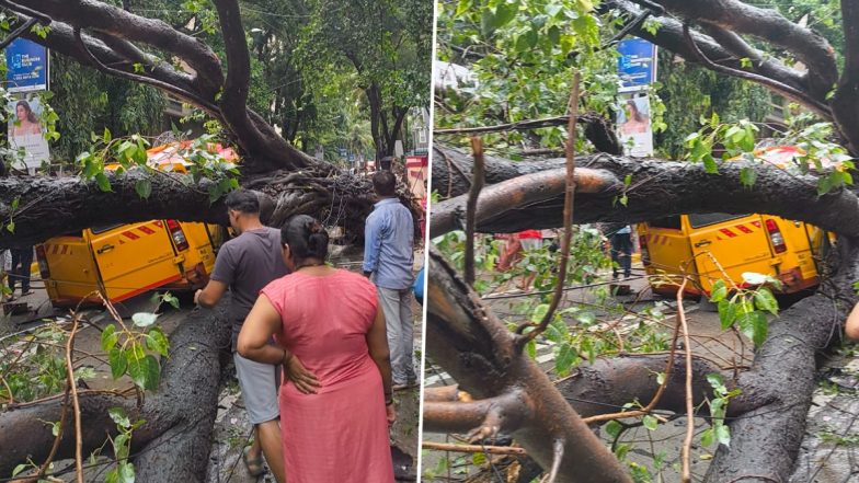 Chembur Tree Collapse: Student Dead, Several Injured After Tree Falls on School Bus (See Pics)