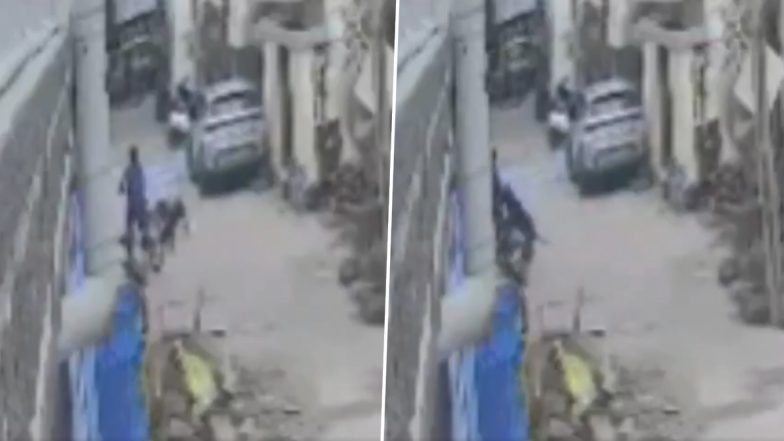 Bengaluru Dog Attack Video: Pet Rottweiler Chases and Bites Boy Cycling Near Home, Owner Booked