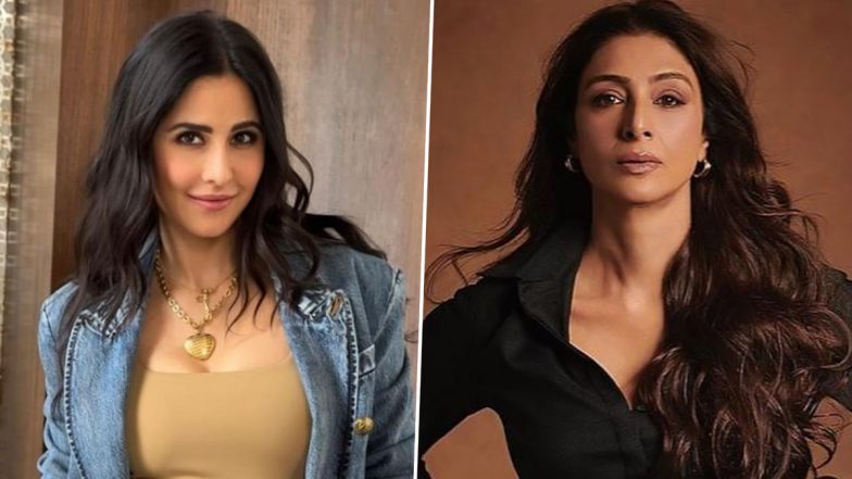 Katrina Kaif to Make Her Big Screen Comeback Alongside Tabu in &lsquo;Chandni Bar 2&rsquo;? Here&rsquo;s What We Know