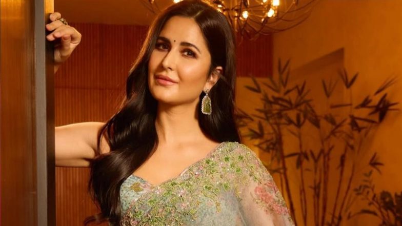 Katrina Kaif NOT Making Acting Comeback With OTT Project After Embracing Motherhood; Viral Reports False