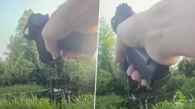 Louisiana Alligator &lsquo;Arrests&rsquo; Drunk Driver Who Fled Into Swamp To Escape Cops (Watch Video)