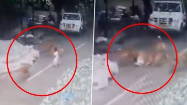 Bengaluru Dog Attack: 4-Year-Old Girl Mauled by Pack of 6 Stray Dogs in Sahakara Nagar, Suffers Severe Injuries (Watch Video)