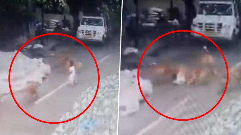 Bengaluru Dog Attack: 4-Year-Old Girl Mauled by Pack of 6 Stray Dogs in Sahakara Nagar, Suffers Severe Injuries (Watch Video)