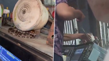 Python Rescue Video: Baby Indian Rock Python Found Inside Train Engine at Mumbai CSMT