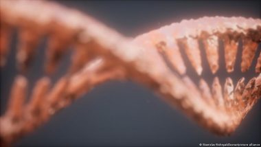 DNA Had One Rule. Bacteria Didn&rsquo;t Get the Memo