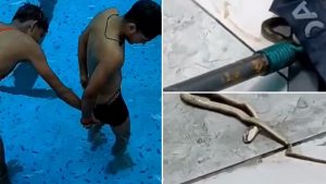 Orai Viral Video: Snake Slithers Into Swimmer’s Underwear, Friends Step In To Save Him