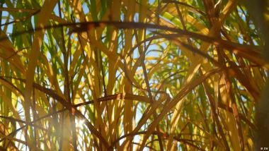Creative Climate Messaging and Other Eco Wins of the Week